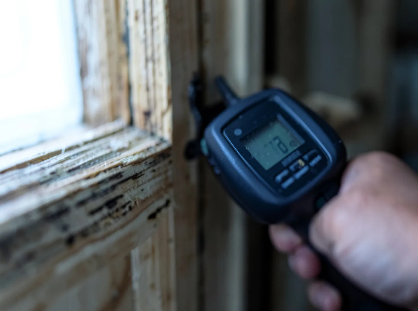 Moisture Inspection And Documentation in Pelsor, AR